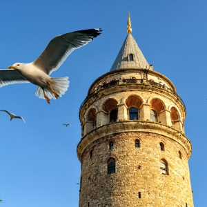 Галатская башня, Стамбул / Тревел-фотография